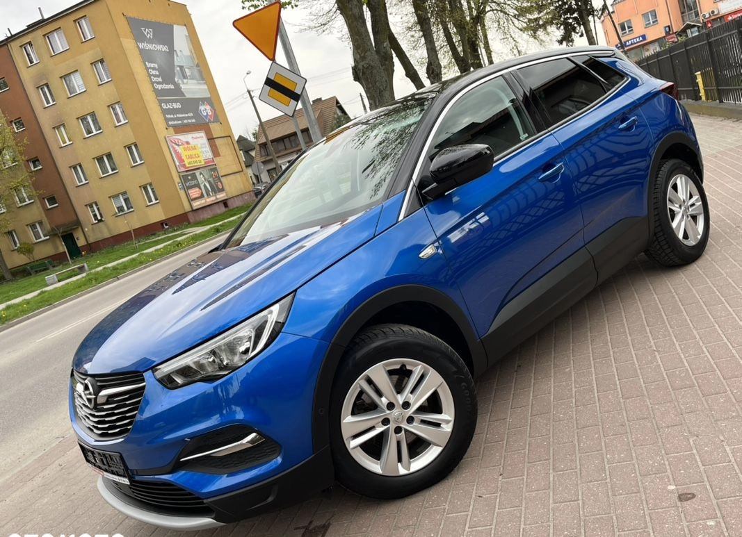 Opel Grandland X cena 61900 przebieg: 173555, rok produkcji 2018 z Działdowo małe 781